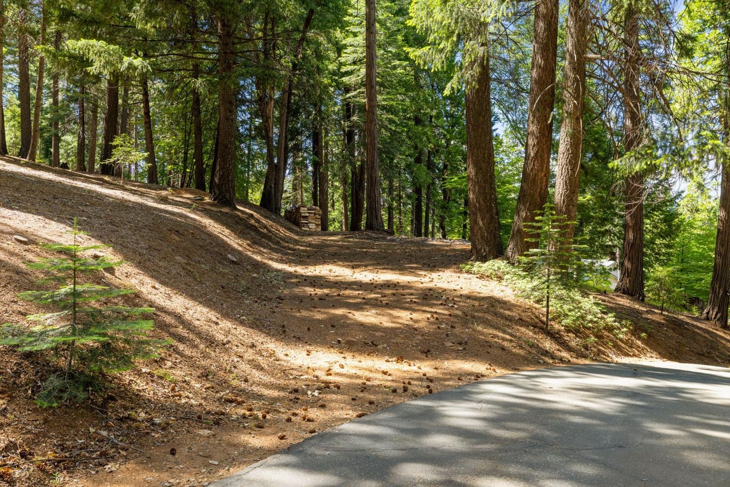 3070 Crystal Summit Road Pollock Pines, CA 95726 - Photo 60 of 76
