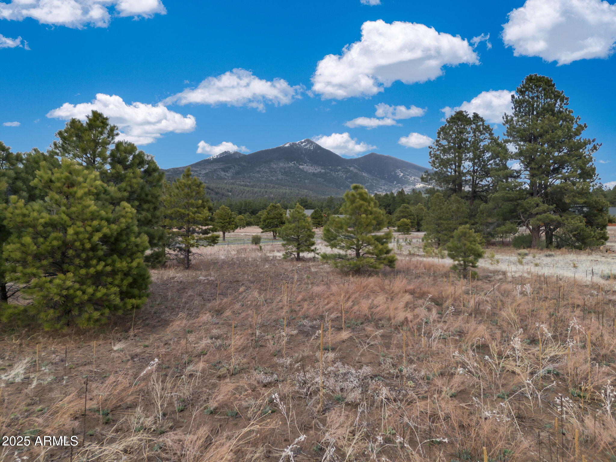 9025 North Snow Bowl Ranch Road, Unit 5 Flagstaff, AZ 86001 - Photo 1 of 23 12-web-or-mls-TimberCreekImagery-12
