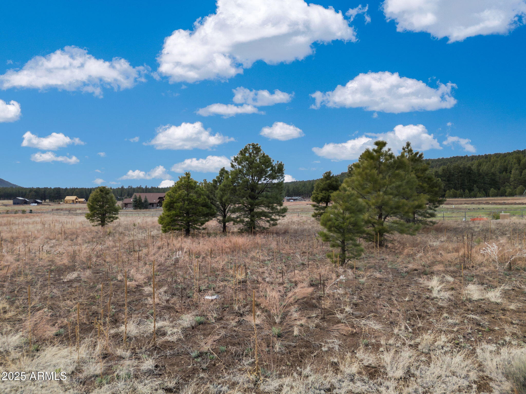 9025 North Snow Bowl Ranch Road, Unit 5 Flagstaff, AZ 86001 - Photo 11 of 23 7-web-or-mls-TimberCreekImagery-7