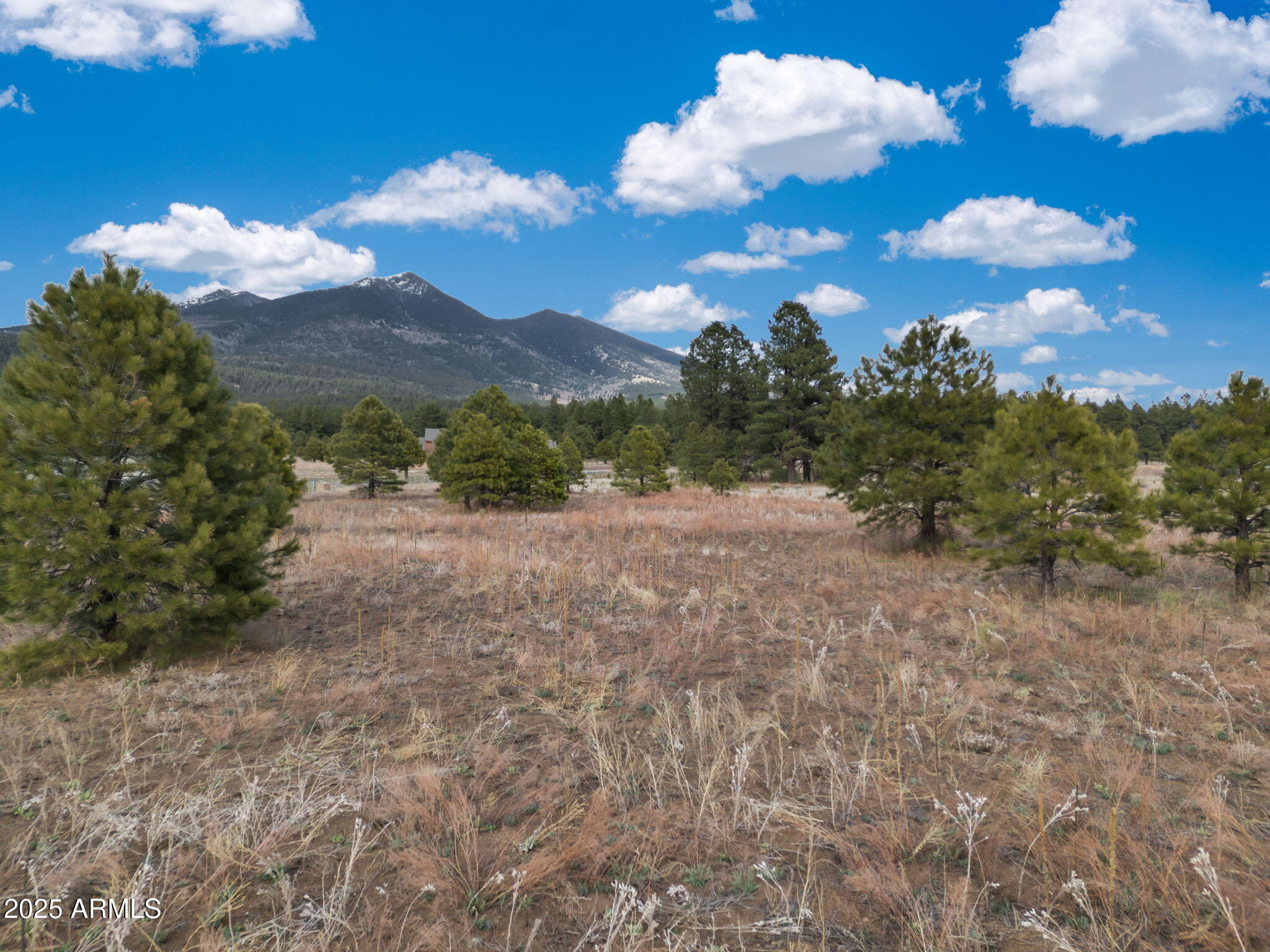 9025 North Snow Bowl Ranch Road, Unit 5 Flagstaff, AZ 86001 - Photo 15 of 23 11-web-or-mls-TimberCreekImagery-11