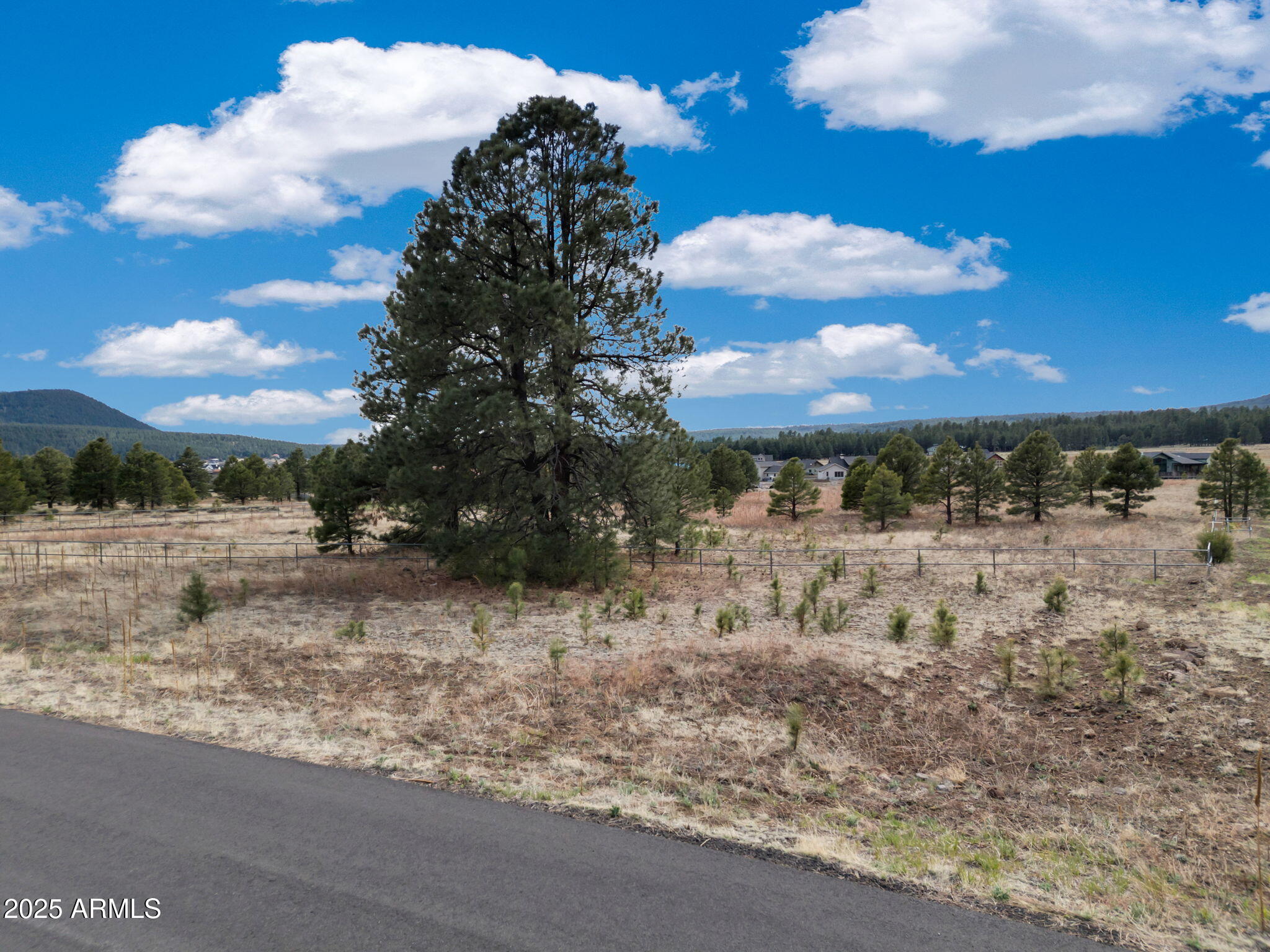 9025 North Snow Bowl Ranch Road, Unit 5 Flagstaff, AZ 86001 - Photo 6 of 23 2-web-or-mls-TimberCreekImagery-2