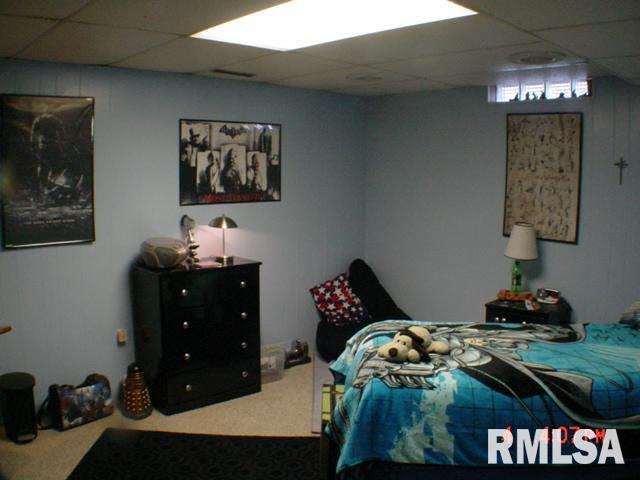 1022 Bluff Heights Road Clinton, IA 52732 - Photo 18 of 21 Gallery Image 18