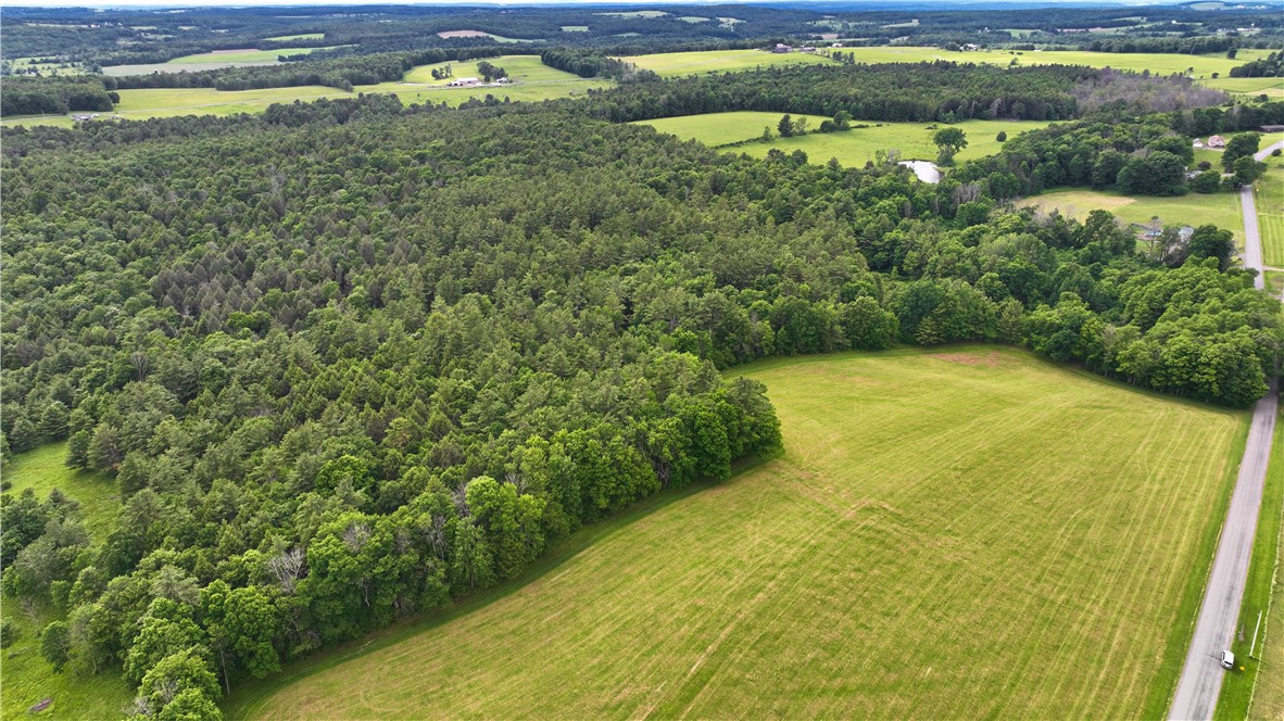 Case Road Bainbridge, NY 13733 - Photo 9 of 13