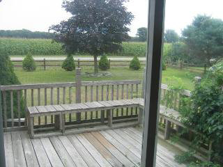 368 Nieman Road Dundee, MI 48131 - Photo 7 of 7 274891-6.JPG
