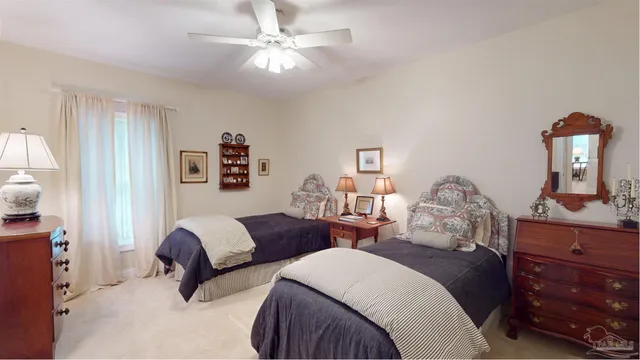 a view of a yard with plants and trees