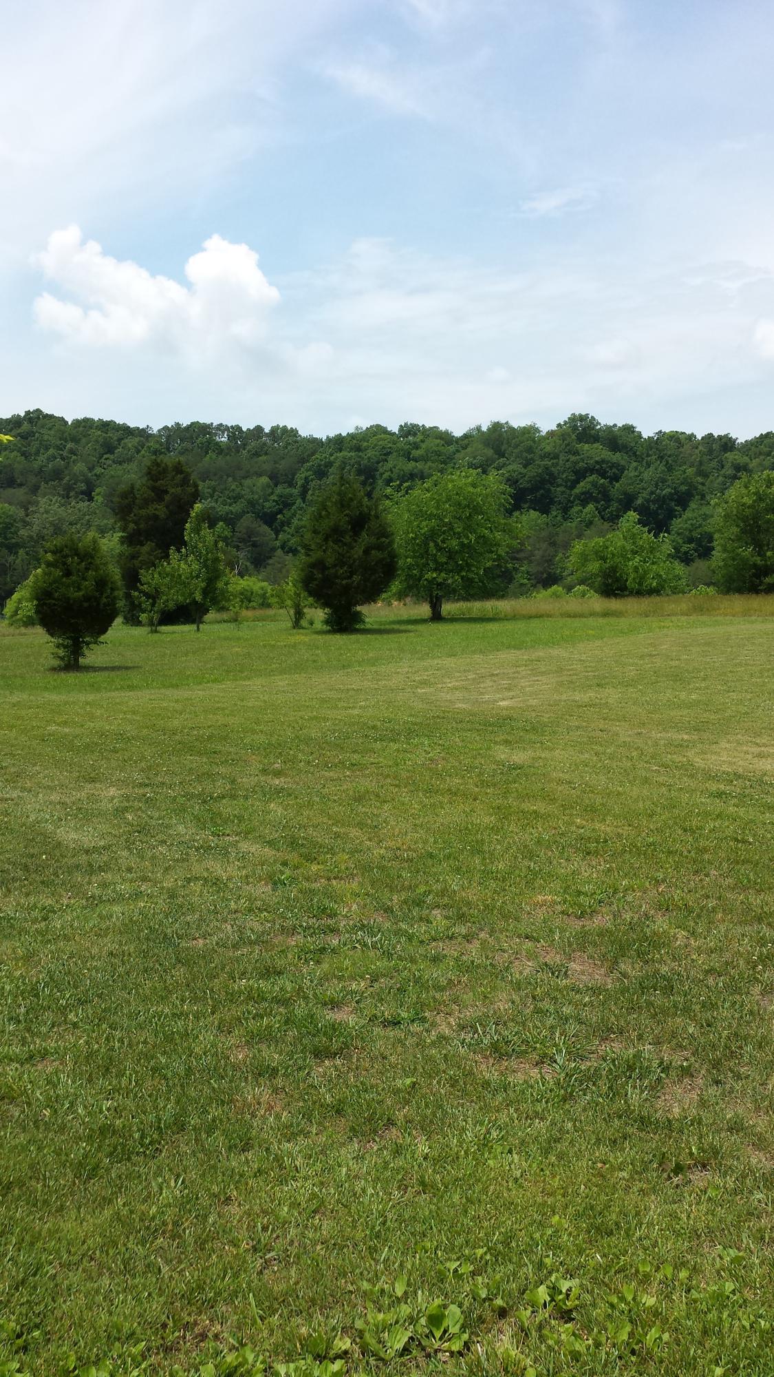 147 Roderick Lane Strawberry Plains, TN 37871 - Photo 7 of 9 147 Roderick Lane