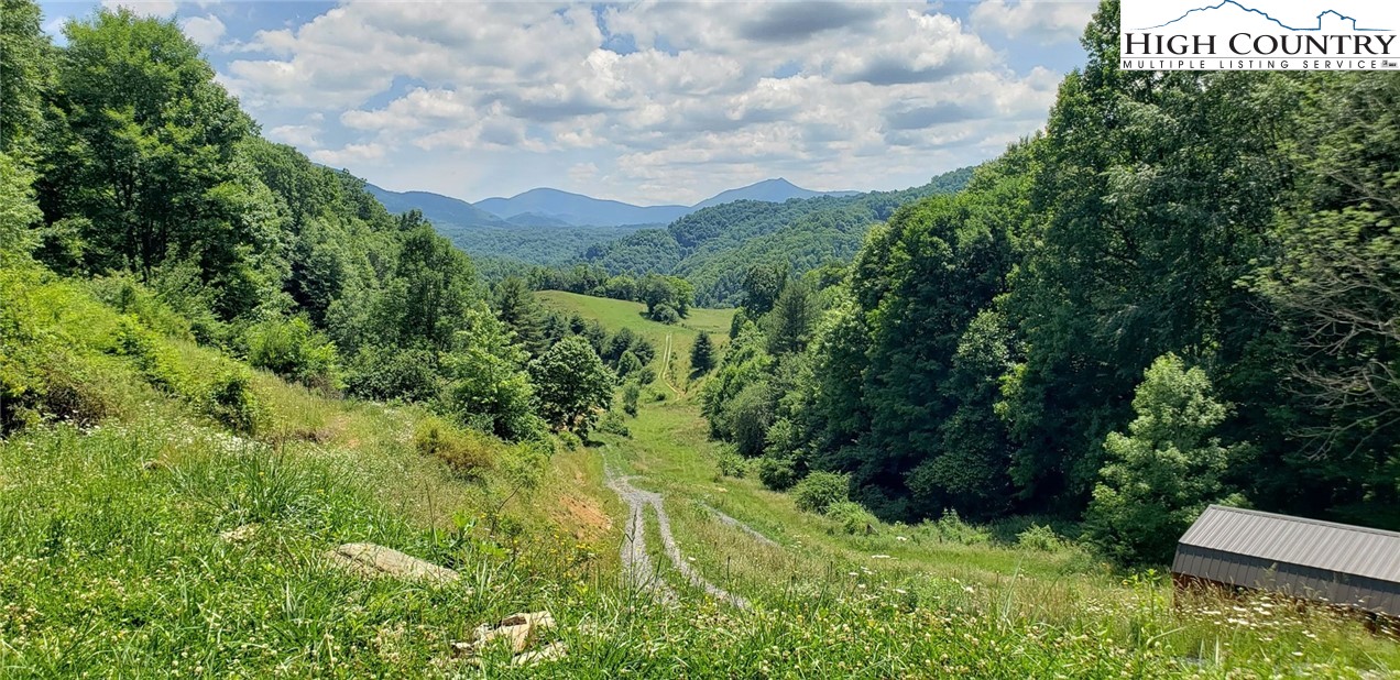 0 Roundabout Road Creston, NC 28615 - Photo 1 of 48 Gallery Image 1