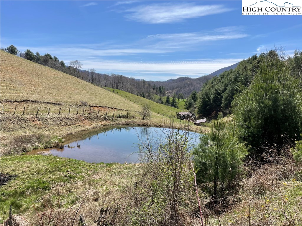 0 Roundabout Road Creston, NC 28615 - Photo 11 of 48 Gallery Image 11