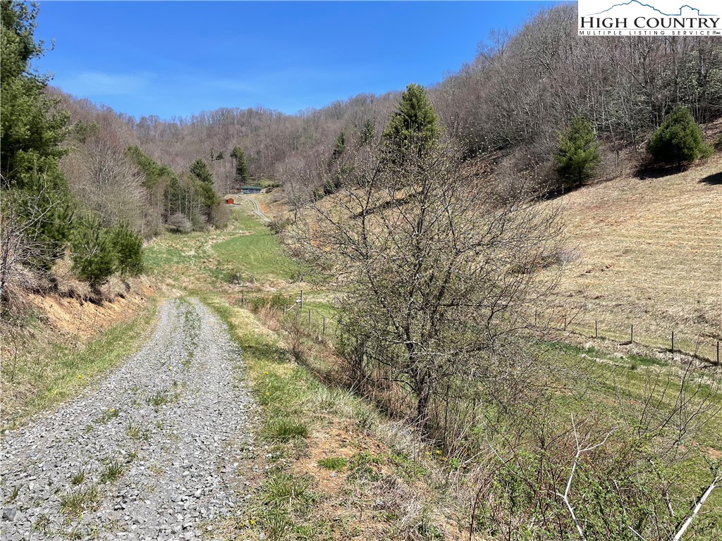 0 Roundabout Road Creston, NC 28615 - Photo 14 of 48 Gallery Image 14