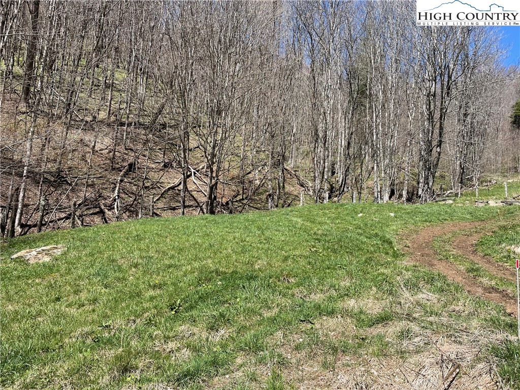 0 Roundabout Road Creston, NC 28615 - Photo 17 of 48 Gallery Image 17