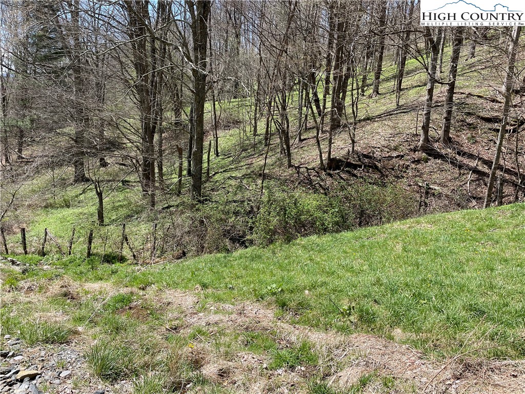 0 Roundabout Road Creston, NC 28615 - Photo 19 of 48 Gallery Image 19