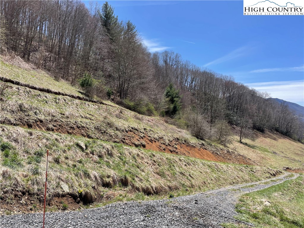 0 Roundabout Road Creston, NC 28615 - Photo 20 of 48 Gallery Image 20