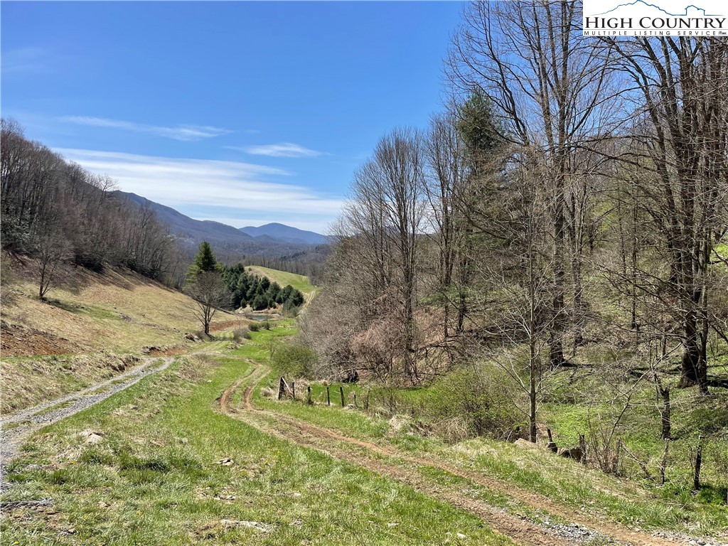 0 Roundabout Road Creston, NC 28615 - Photo 22 of 48 Gallery Image 22