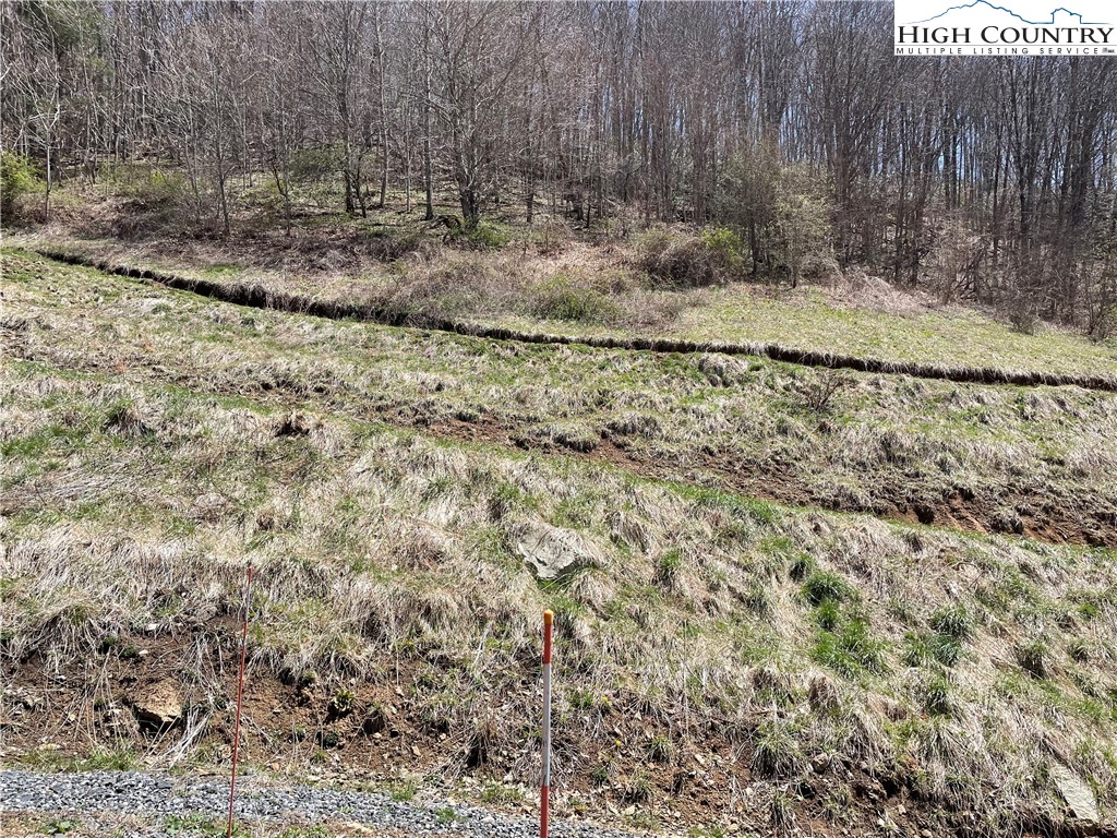0 Roundabout Road Creston, NC 28615 - Photo 23 of 48 Gallery Image 23