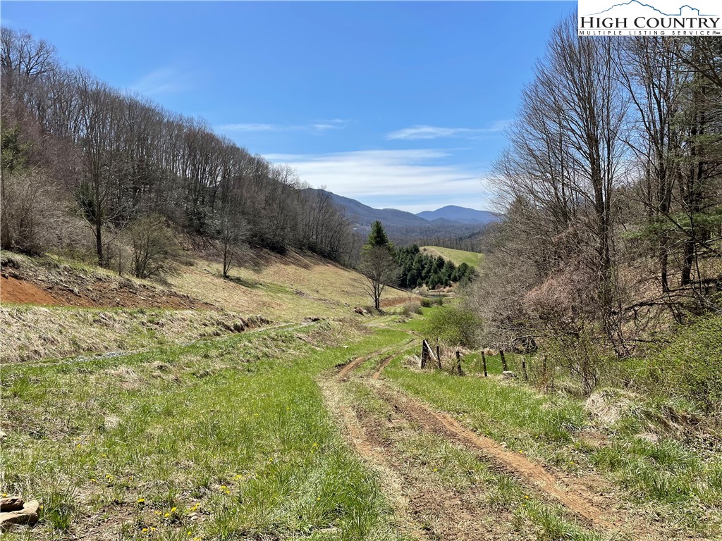 0 Roundabout Road Creston, NC 28615 - Photo 24 of 48 Gallery Image 24