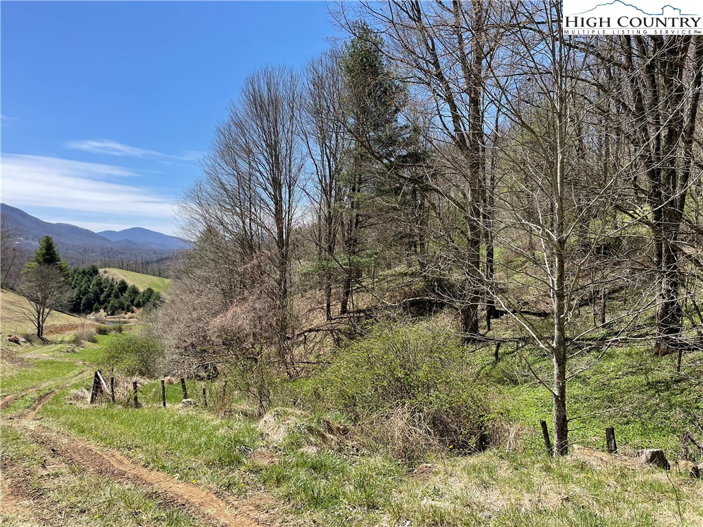 0 Roundabout Road Creston, NC 28615 - Photo 25 of 48 Gallery Image 25