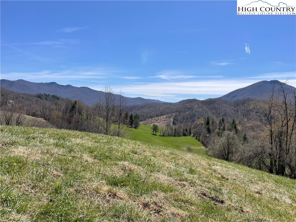 0 Roundabout Road Creston, NC 28615 - Photo 31 of 48 Gallery Image 31