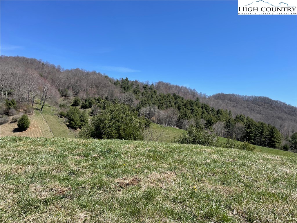 0 Roundabout Road Creston, NC 28615 - Photo 40 of 48 Gallery Image 40