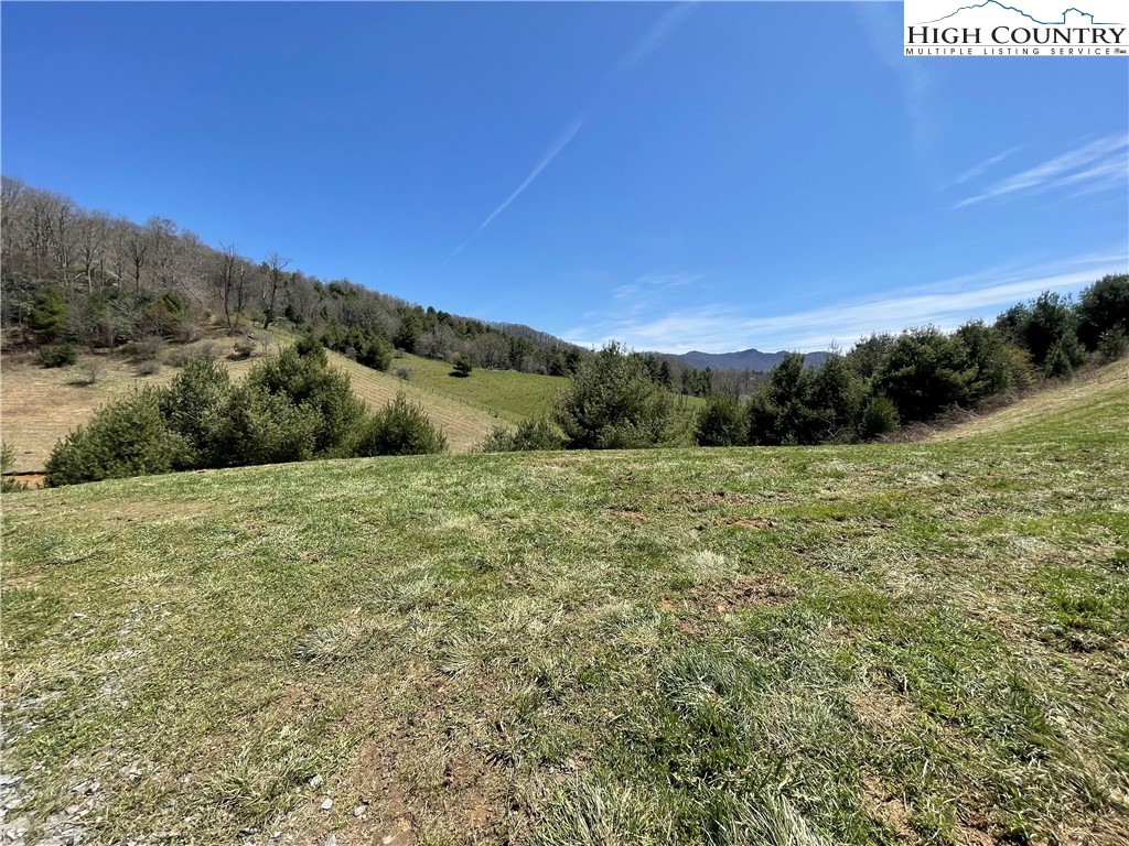 0 Roundabout Road Creston, NC 28615 - Photo 8 of 48 Gallery Image 8