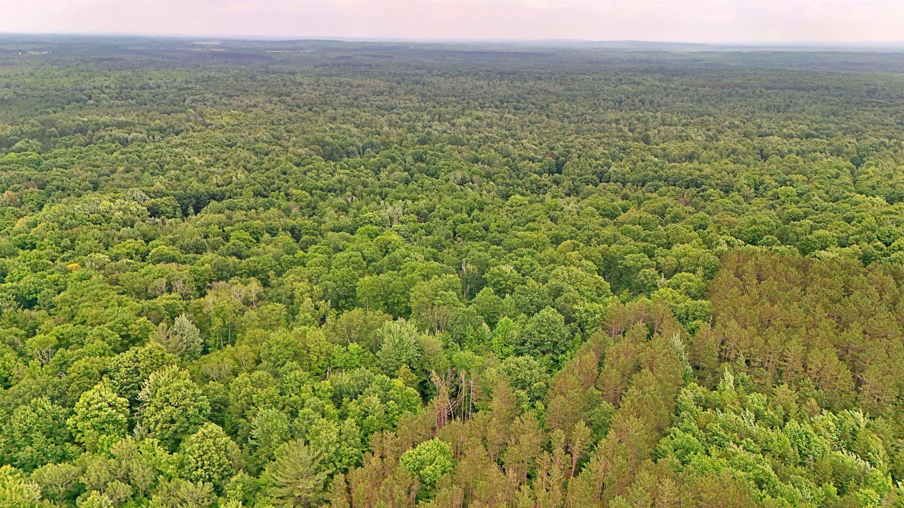 Vl 00 Cherry Hill Road Fife Lake, MI 49633 - Photo 20 of 26