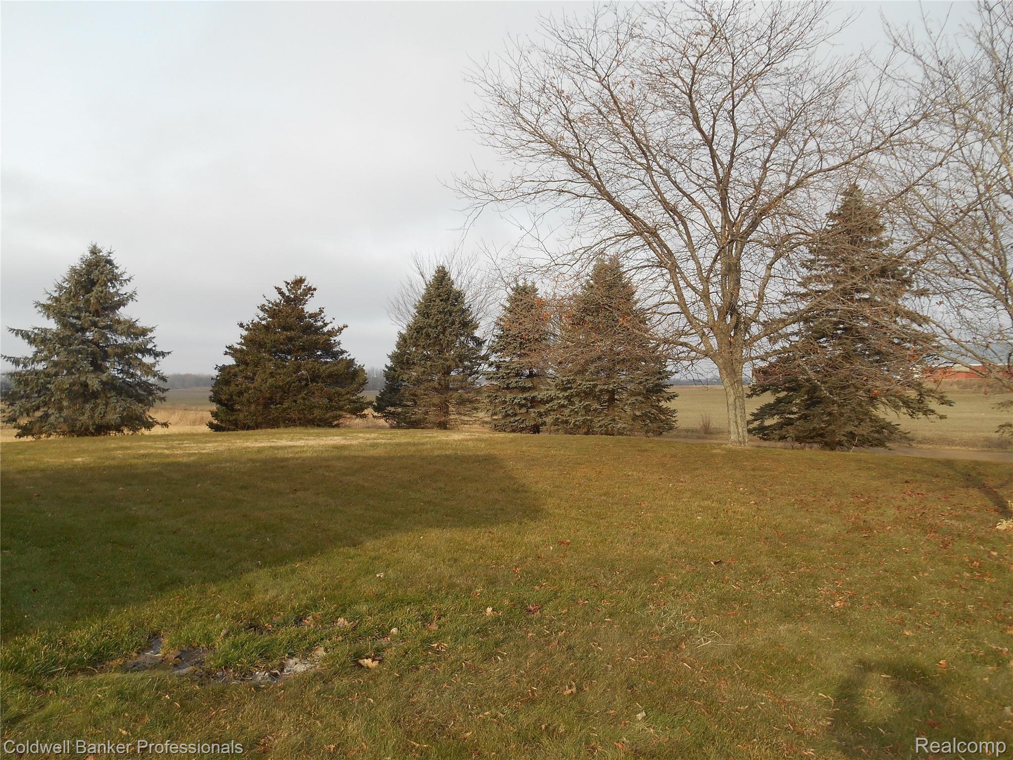 9485 Jefferson Road Clifford, MI 48727 - Photo 10 of 14 DSCN1213.JPG