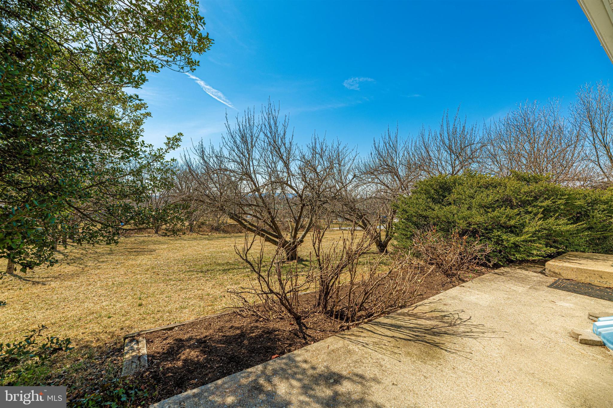 20824 Netz Road Boonsboro, MD 21713 - Photo 49 of 53 a view of yard with ocean view