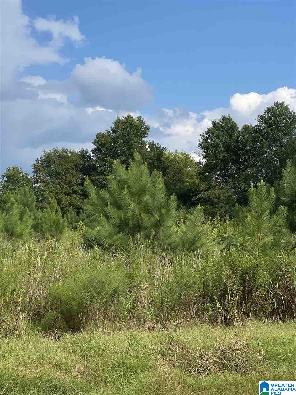 Corner School Road Warrior, AL 35180 - Photo 2 of 11