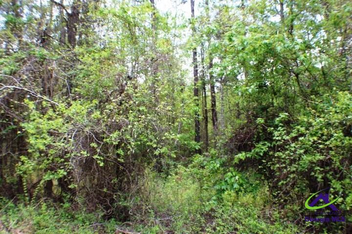 Lot 14 Payne Road Rentz, GA 31075 - Photo 4 of 8