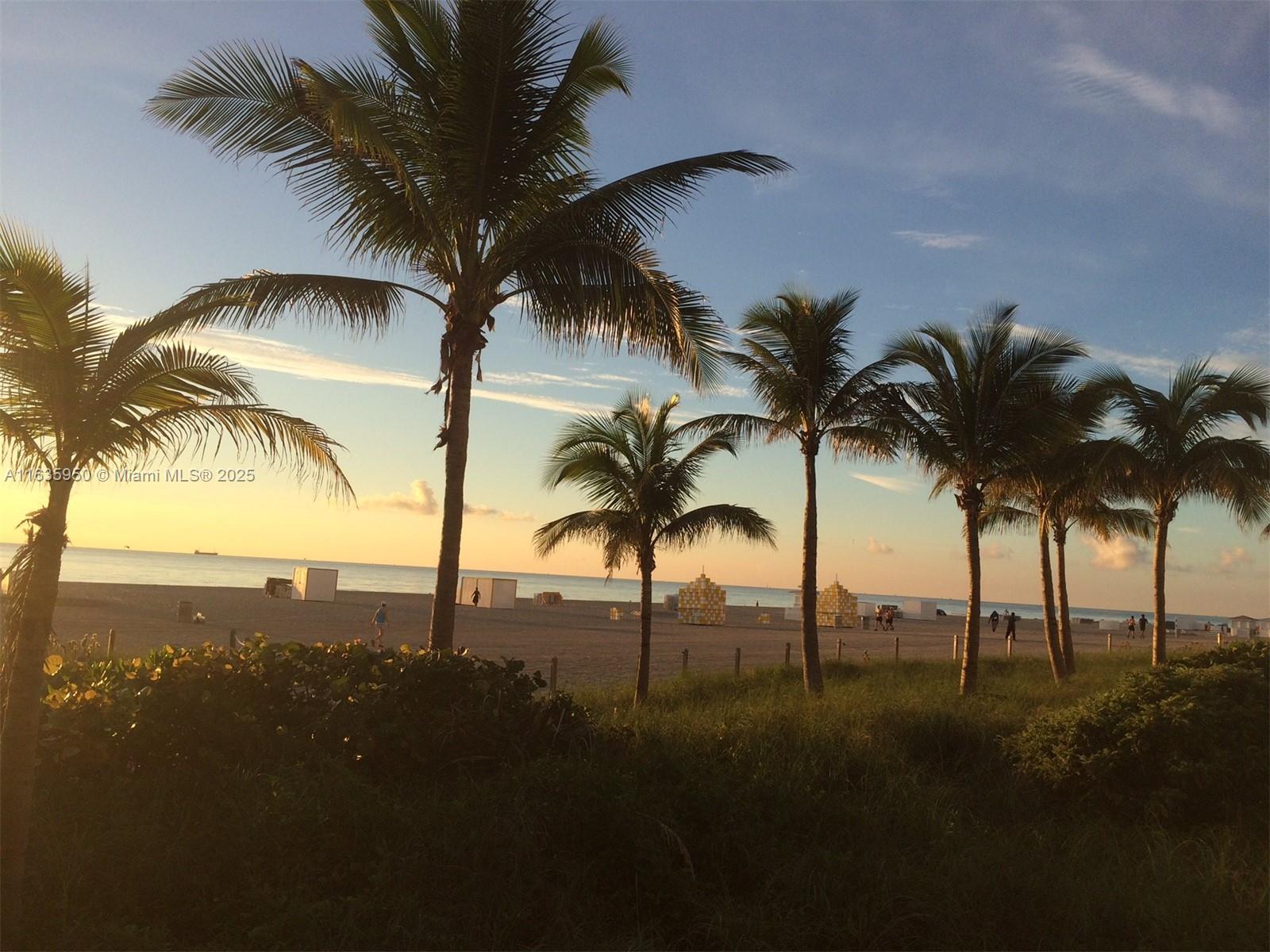 100 Lincoln Road, Unit 1633 Miami Beach, FL 33139 - Photo 49 of 52 a view of beach and palm tree