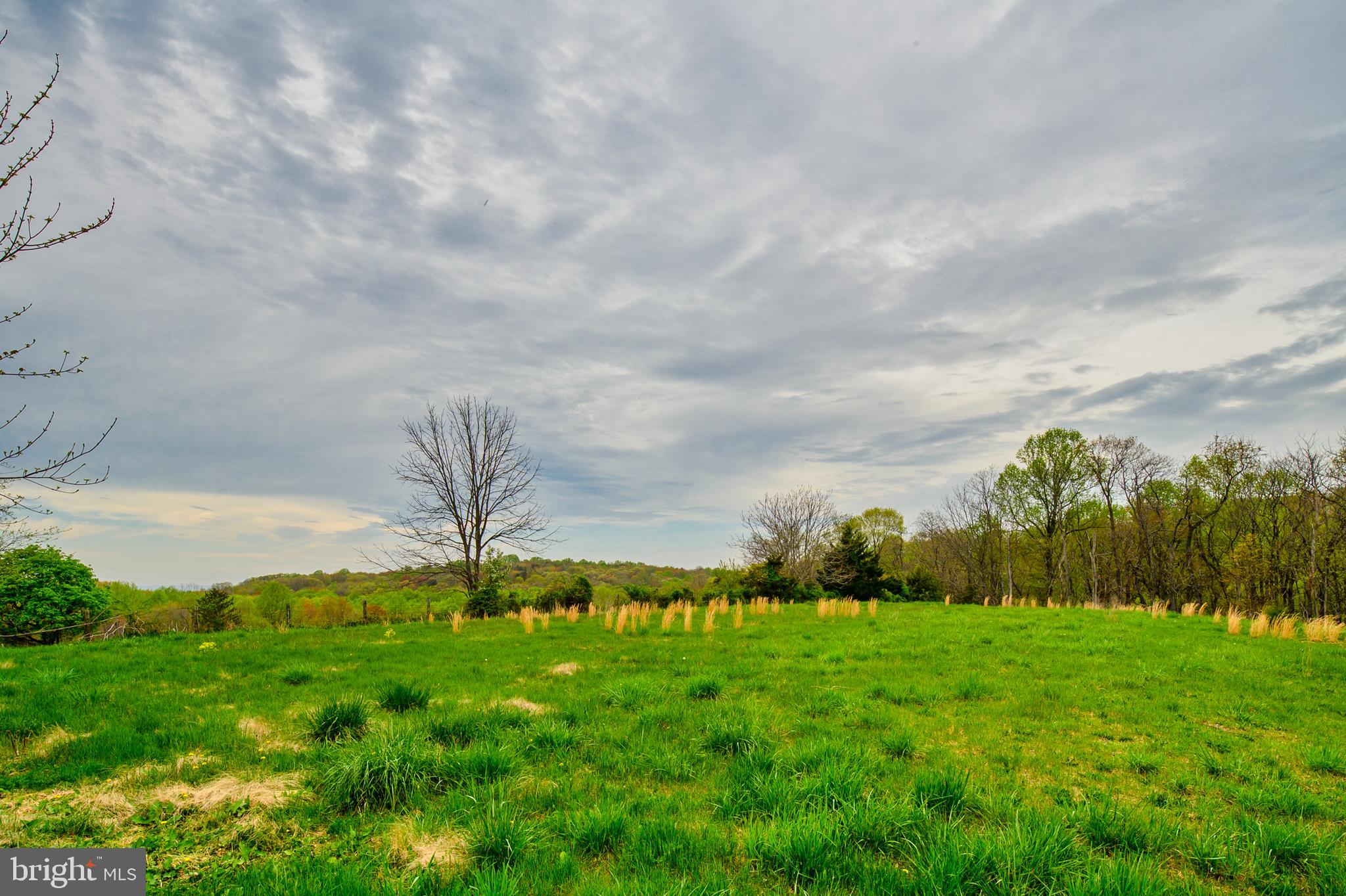 11439 Mountain View Road Damascus, MD 20872 - Photo 41 of 46 Majestic views of MOCO surroundings