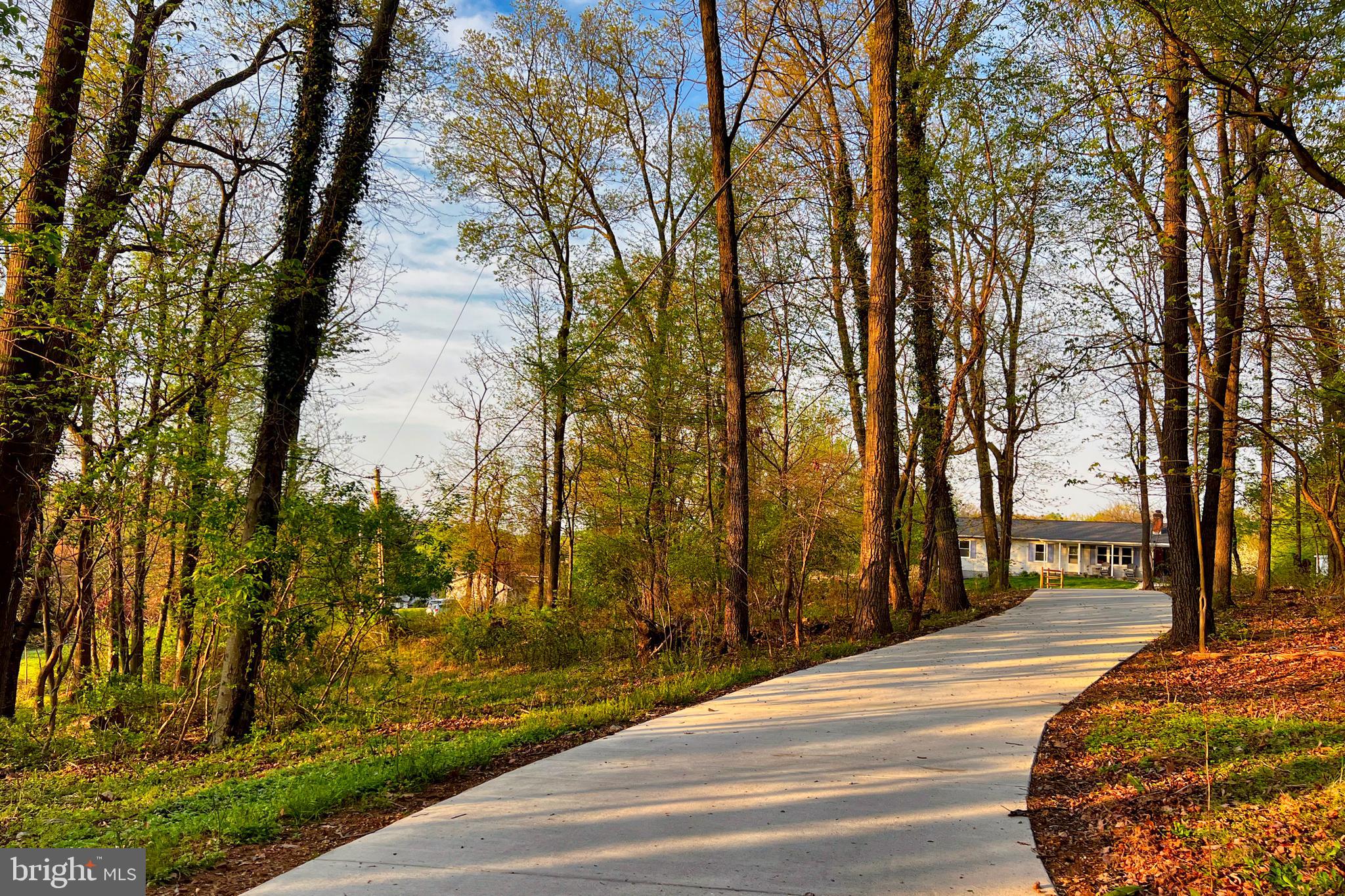11439 Mountain View Road Damascus, MD 20872 - Photo 6 of 46 The treelined driveway leads you home