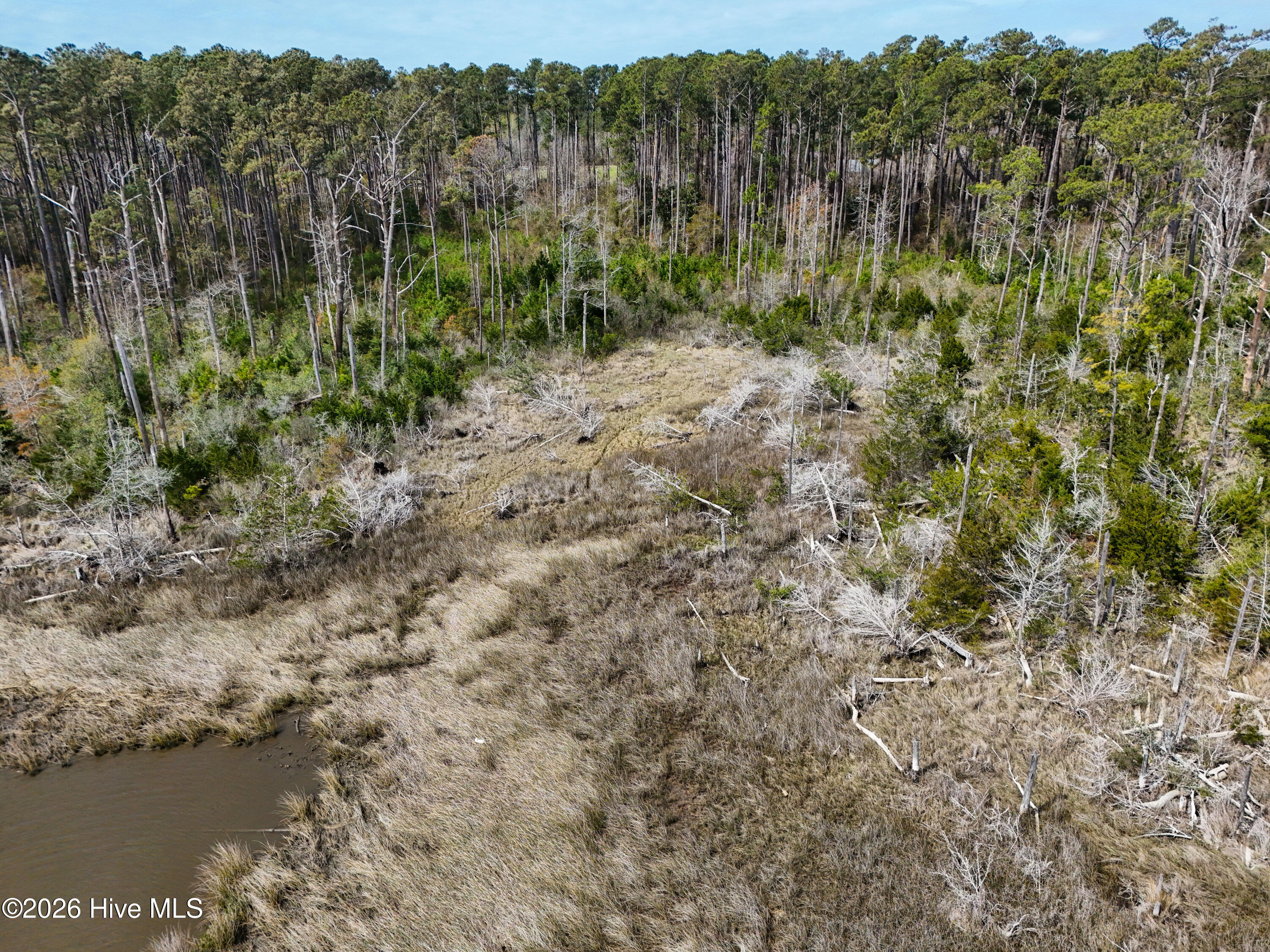 565 Marshallberg Road Smyrna, NC 28579 - Photo 15 of 20 DJI_20260325120052_0048_D