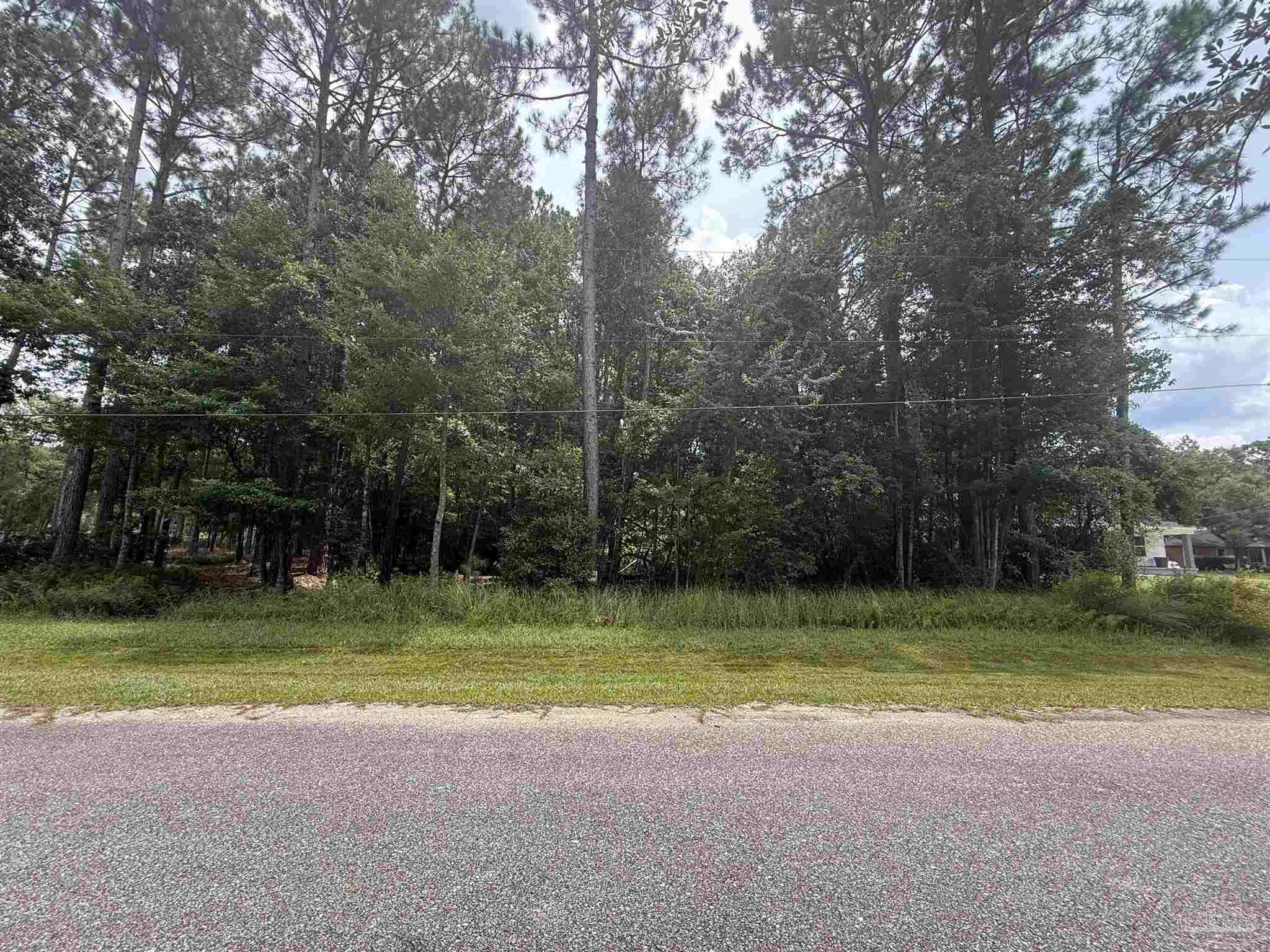 8100 Pond Valley Drive Pensacola, FL 32506 - Photo 1 of 4 a view of a tennis ground with a large trees