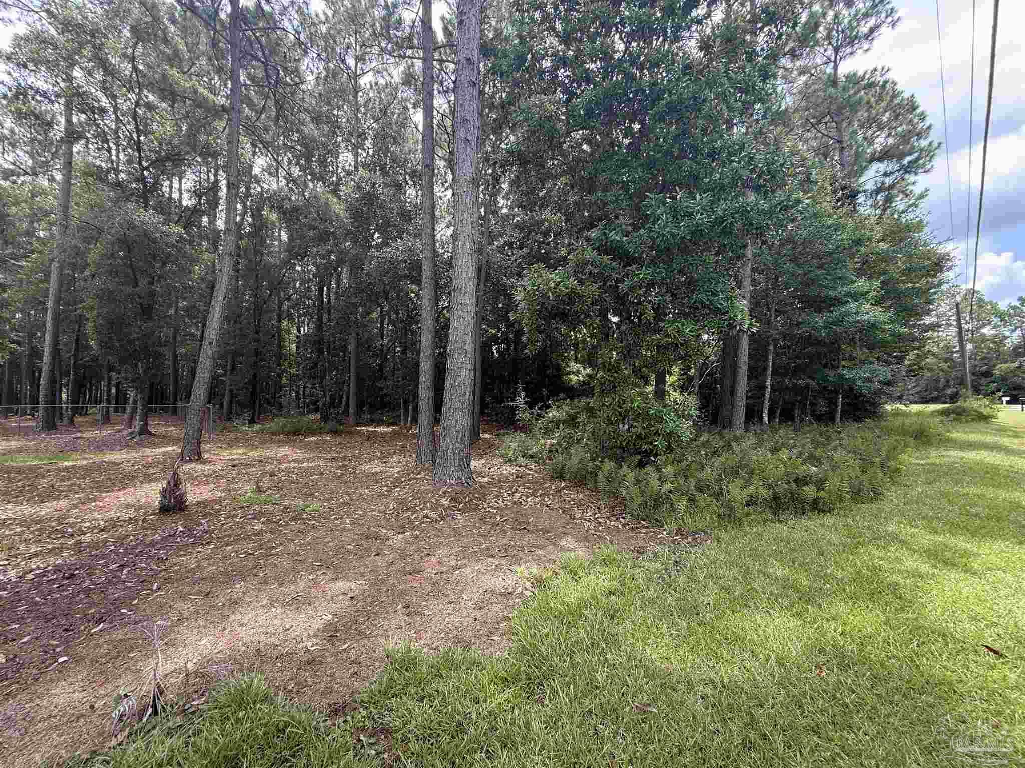 8100 Pond Valley Drive Pensacola, FL 32506 - Photo 3 of 4 a backyard of a house with lots of green space