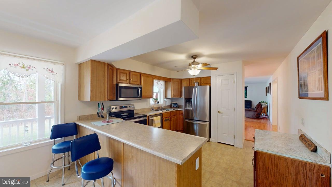 738 Wild Boar Road Augusta, WV 26704 - Photo 17 of 69 Gallery Image 17