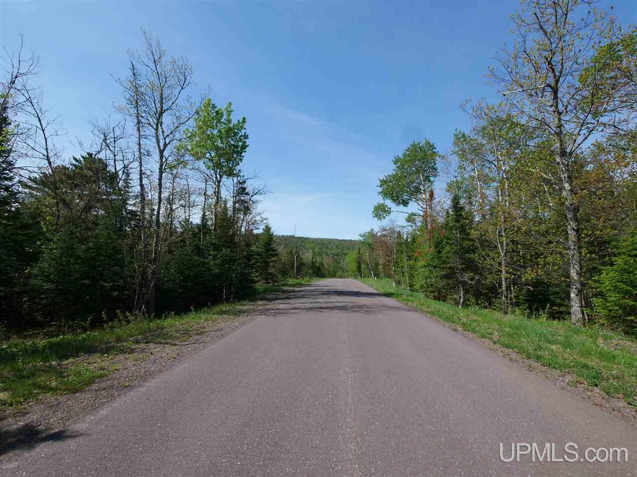 44 North Coast Road Copper Harbor, MI 49918 - Photo 6 of 10