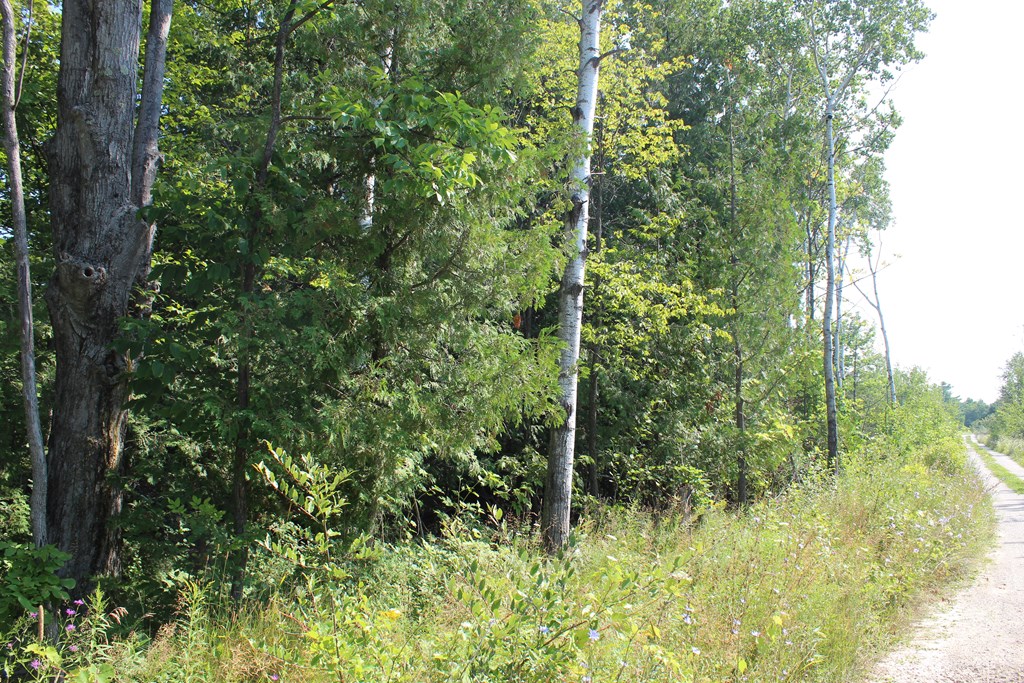 Lot A2 Humbug Road Ellison Bay, WI 54210 - Photo 2 of 10