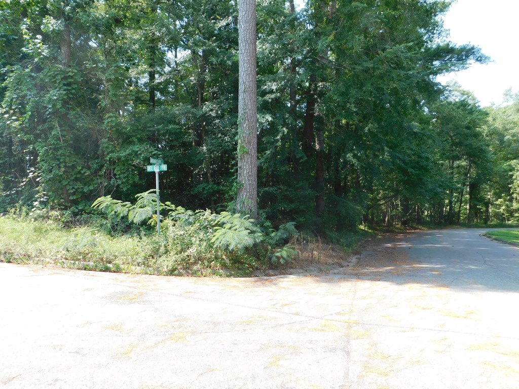 0 Fox Ridge Road Ozark, AL 36360 - Photo 2 of 3