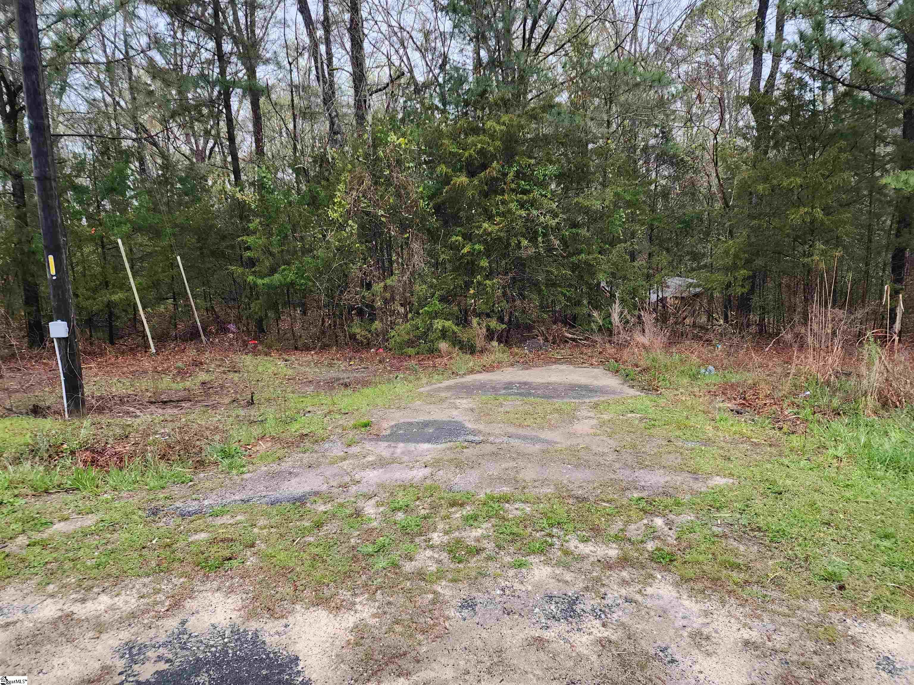 91 Rest Road Waterloo, SC 29384 - Photo 2 of 11