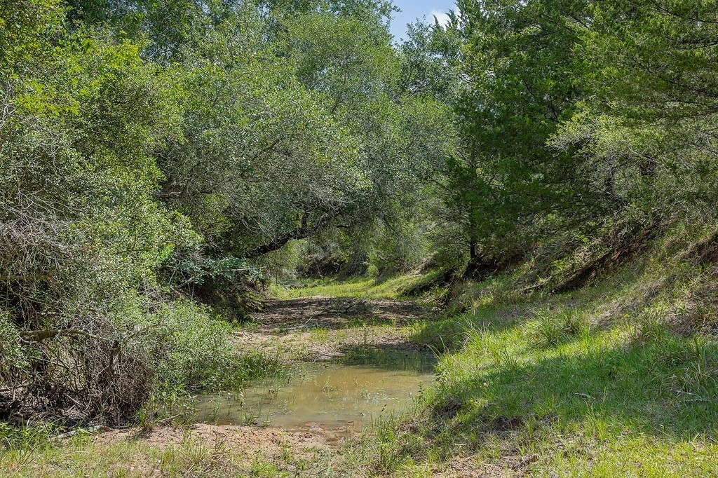 1561 Cr 154 Road Weimar, TX 78962 - Photo 14 of 46 a view of lake