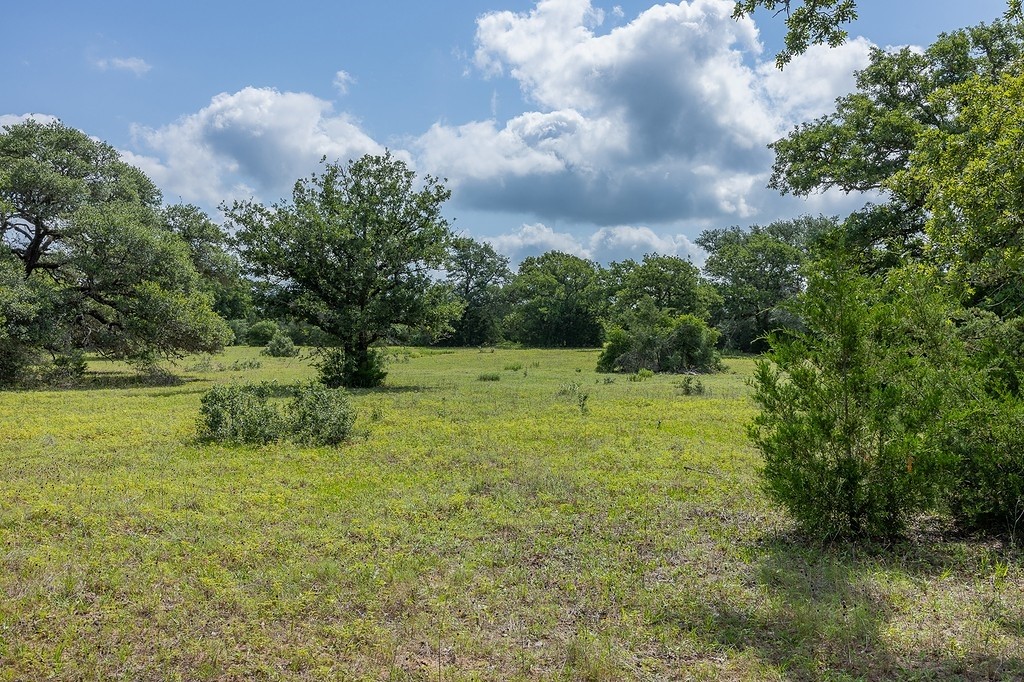 1561 Cr 154 Road Weimar, TX 78962 - Photo 16 of 46 a view of outdoor space and yard