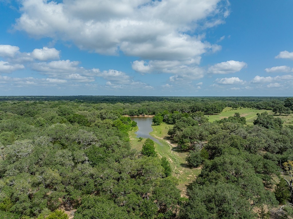 1561 Cr 154 Road Weimar, TX 78962 - Photo 17 of 46 a view of a yard with lots of trees