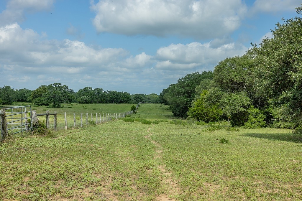 1561 Cr 154 Road Weimar, TX 78962 - Photo 19 of 46 a view of a lake with a yard