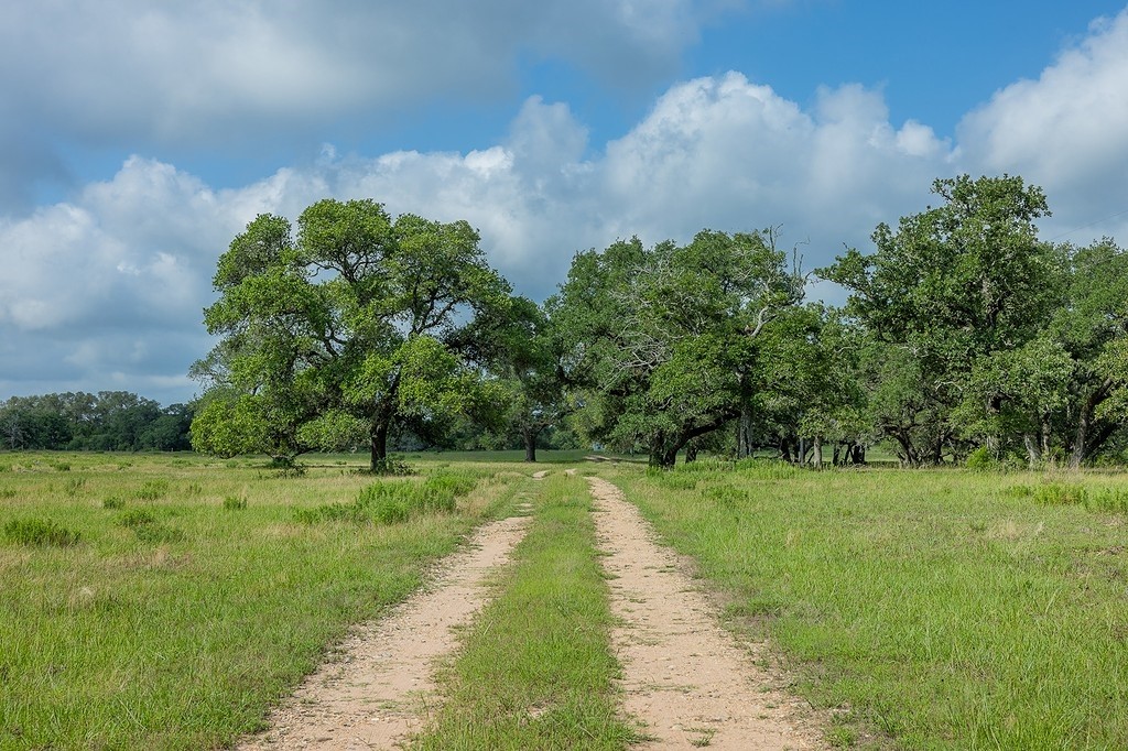 1561 Cr 154 Road Weimar, TX 78962 - Photo 2 of 46 a view of a grassy field with trees in the background