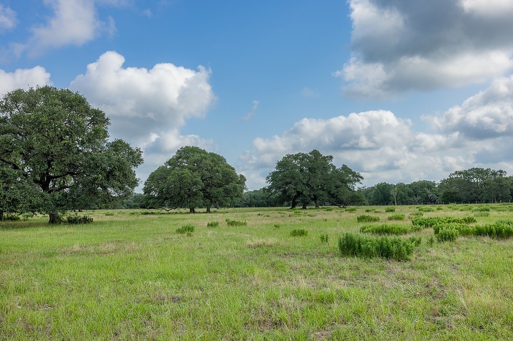 1561 Cr 154 Road Weimar, TX 78962 - Photo 21 of 46 a view of a big yard with an outdoor space