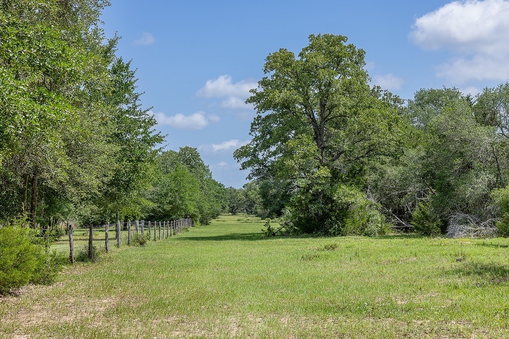 1561 Cr 154 Road Weimar, TX 78962 - Photo 23 of 46 a big yard with lots of green space and trees