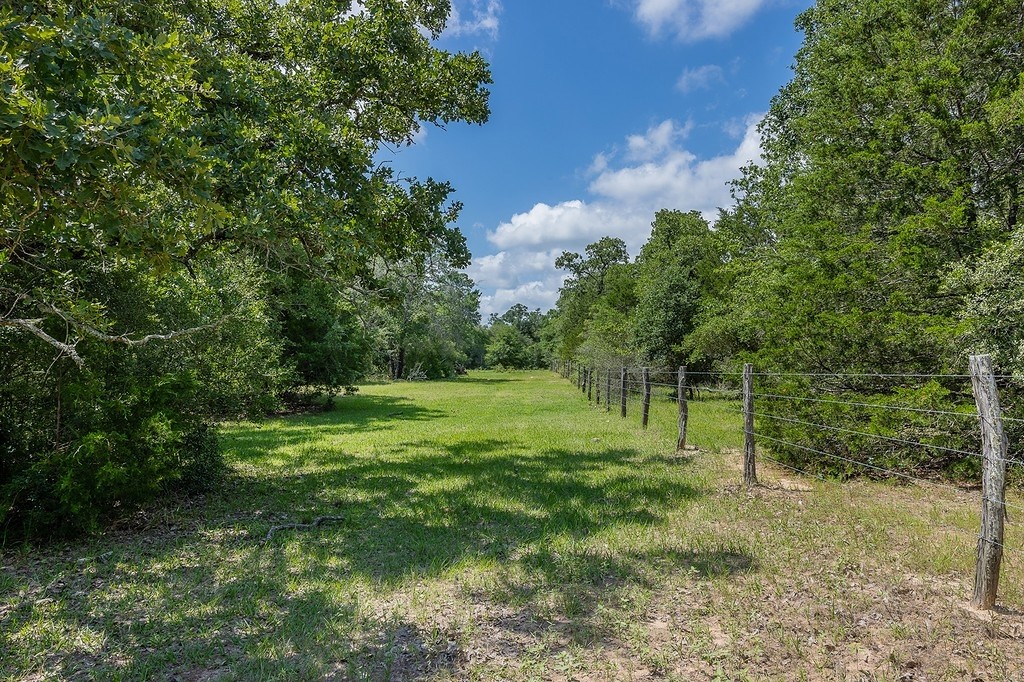 1561 Cr 154 Road Weimar, TX 78962 - Photo 25 of 46 a view of outdoor space with green field and trees all around