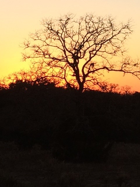1561 Cr 154 Road Weimar, TX 78962 - Photo 27 of 46 a view of mountain