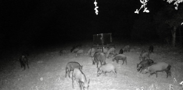 1561 Cr 154 Road Weimar, TX 78962 - Photo 32 of 46 a close view of a sink in a bathroom