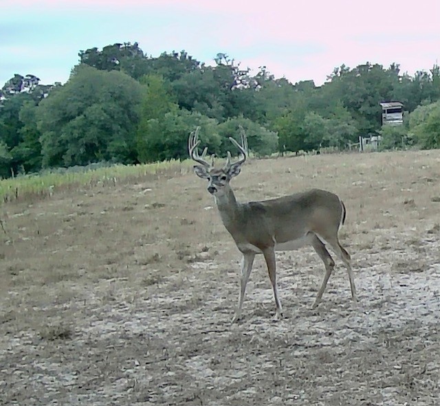 1561 Cr 154 Road Weimar, TX 78962 - Photo 36 of 46 a view of a outdoor space